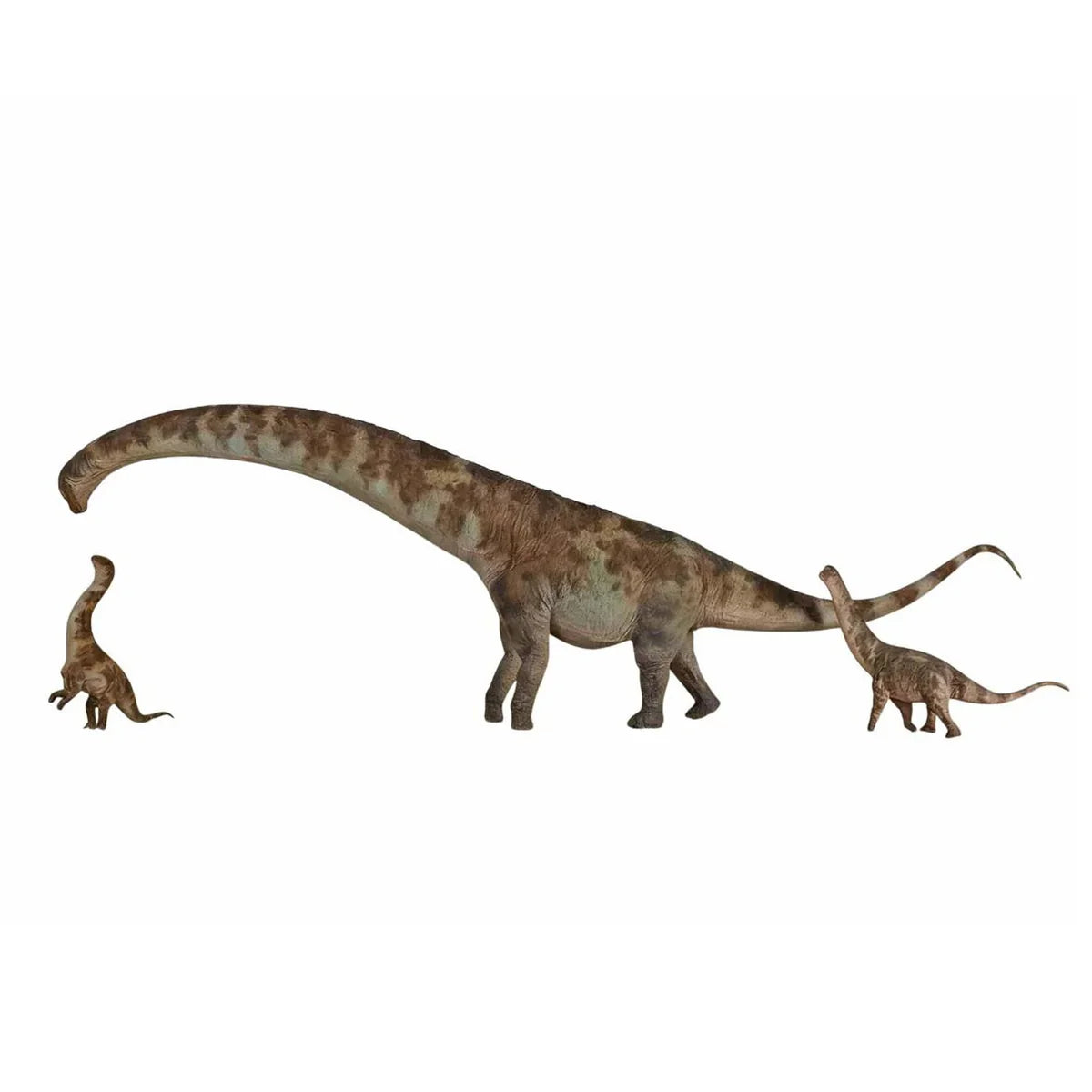 SAUROPODS