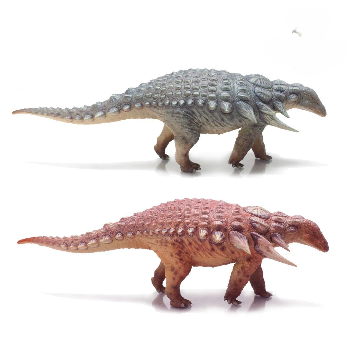 OTHER SPECIES