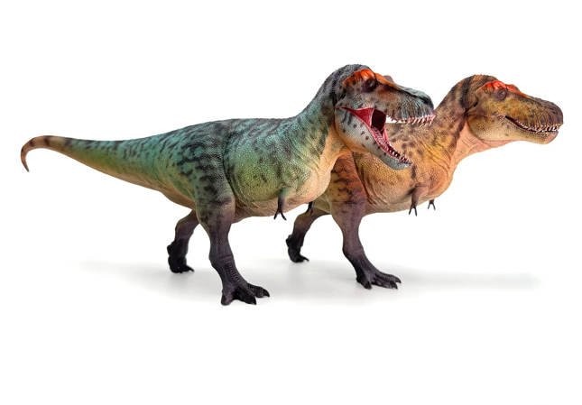 Tyrannosaurus Rex Model