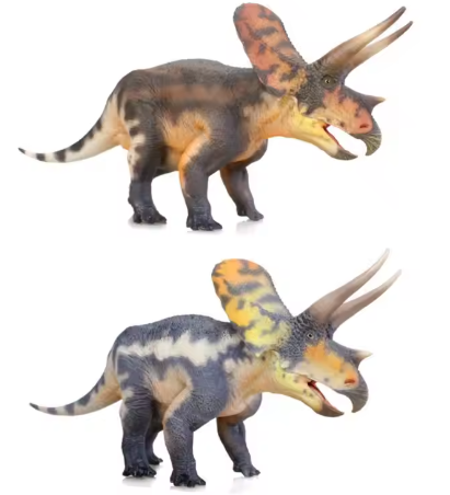 Torosaurus Model