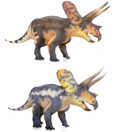 Torosaurus Model