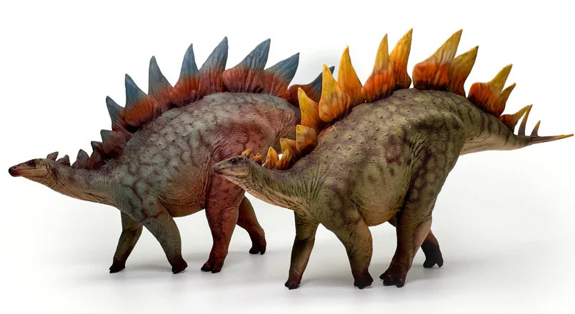 Stegosaurus Model