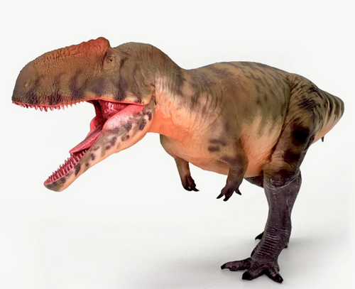 Gigantosaurus Model