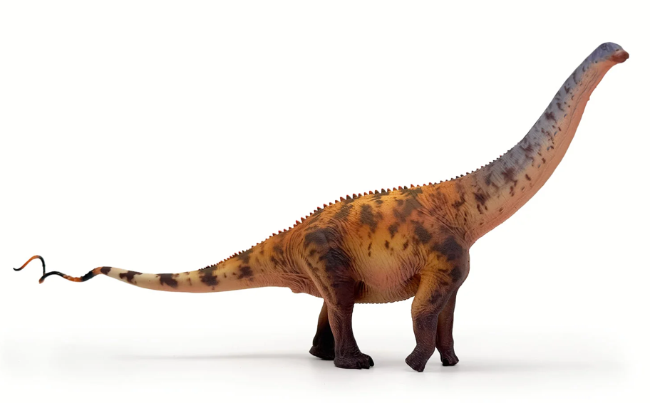 Brontosaurus Model