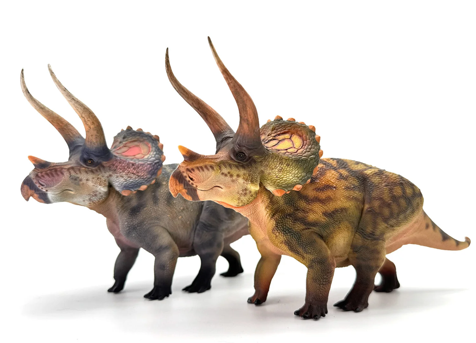 Triceratops Model