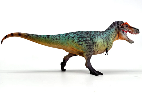Tyrannosaurus Rex Model