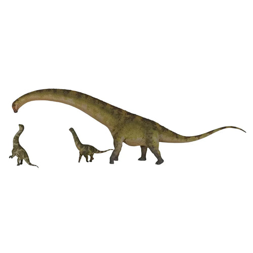 Dreadnoughtus Model