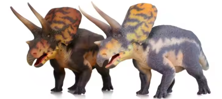 Torosaurus Model
