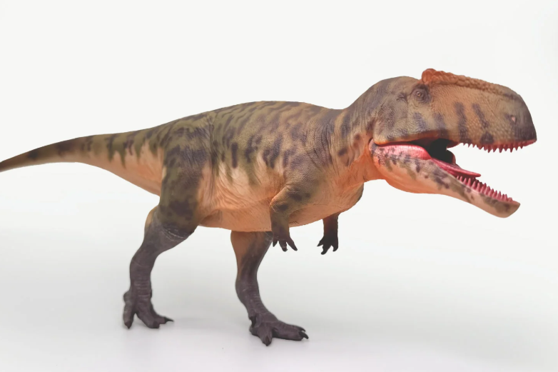 Gigantosaurus Model