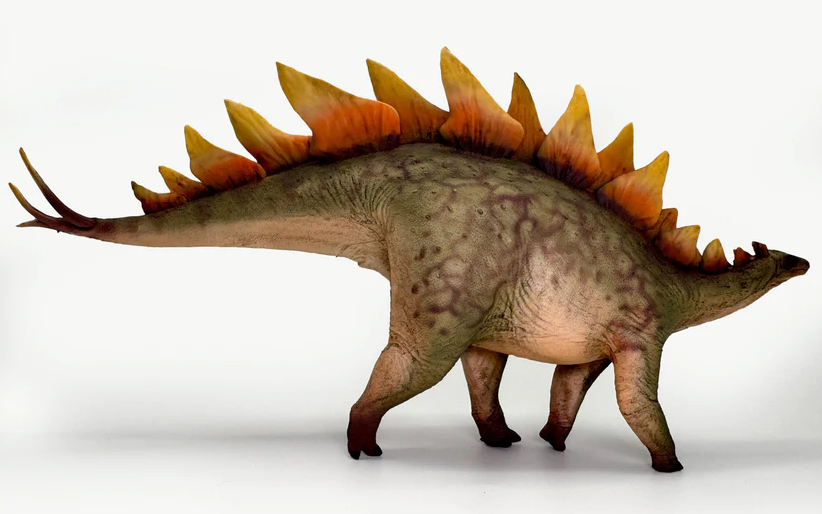 Stegosaurus Model
