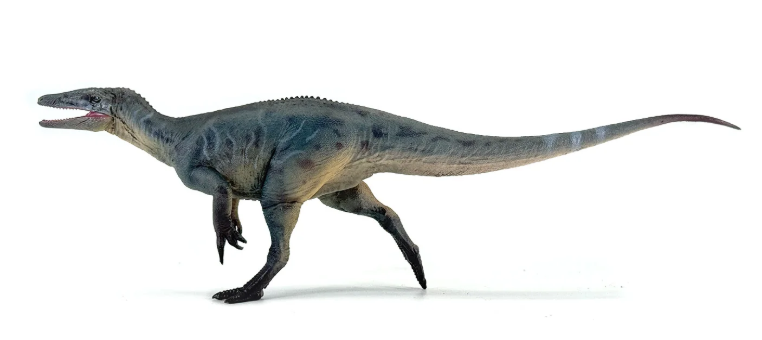 Megaraptor