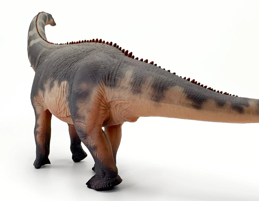 Brontosaurus Model