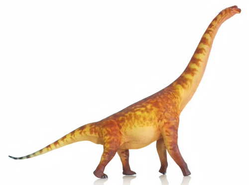 Brachiosaurus Model