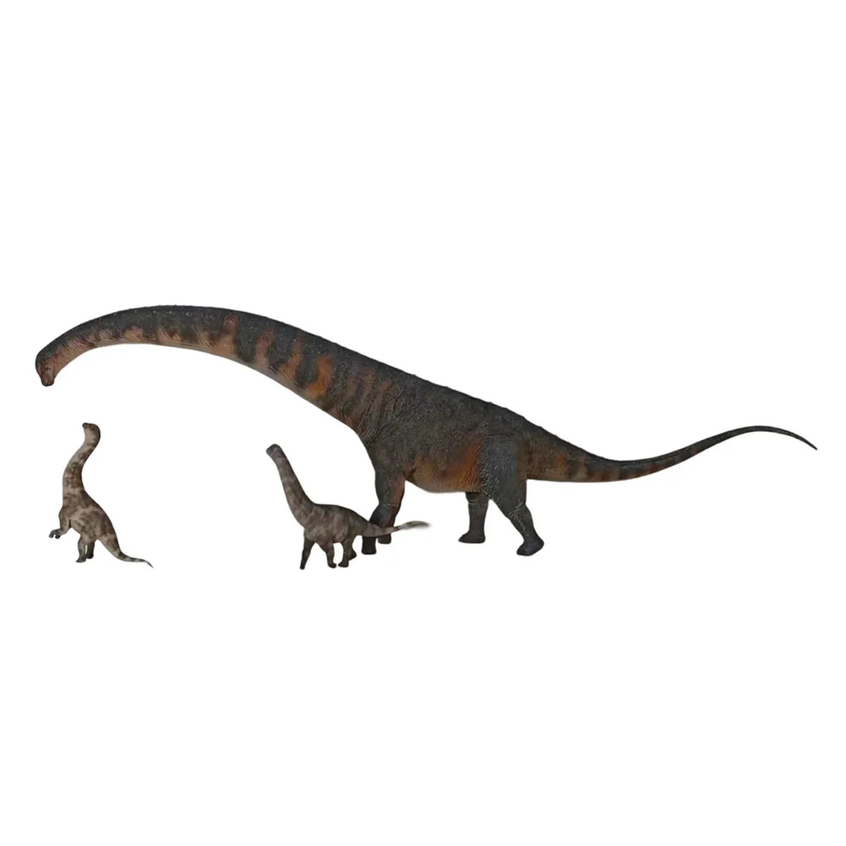 Dreadnoughtus Model