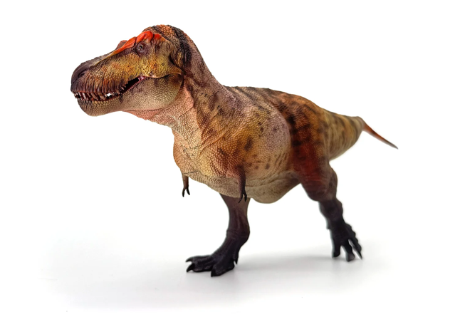 Tyrannosaurus Rex Model