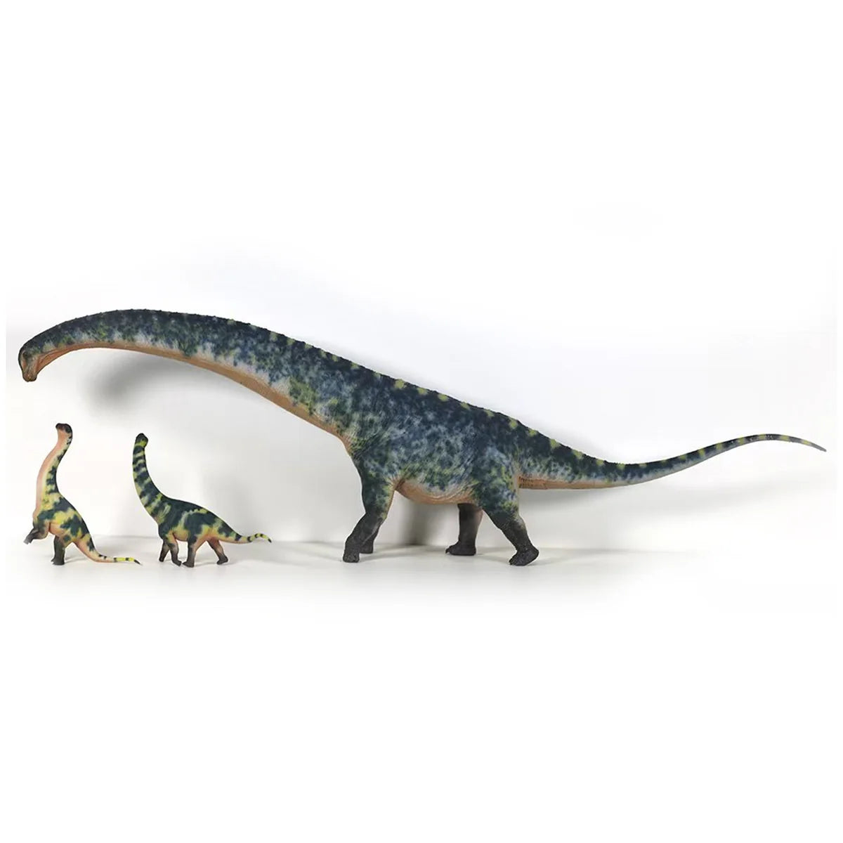 Dreadnoughtus Model