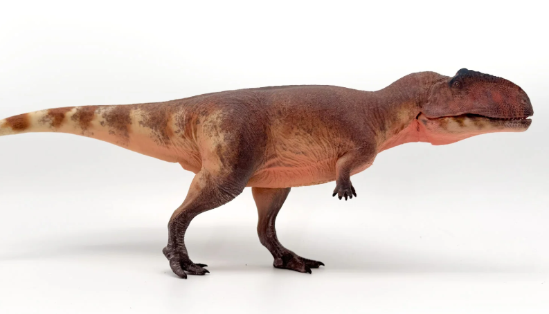 Gigantosaurus Model