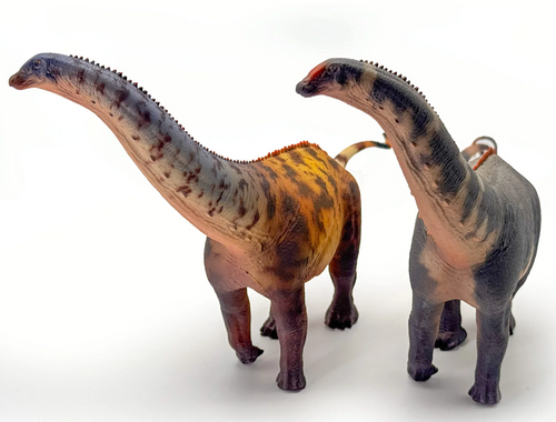 Brontosaurus Model