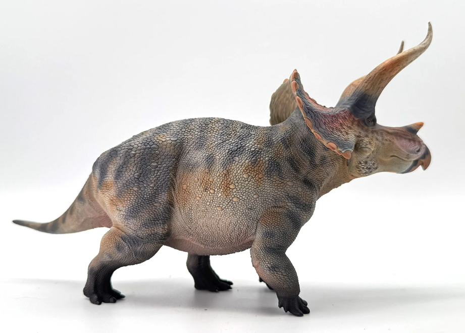 Triceratops Model