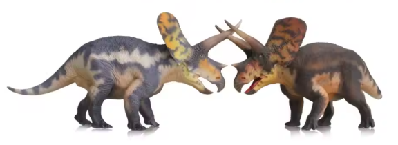 Torosaurus Model