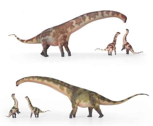 Dreadnoughtus Model