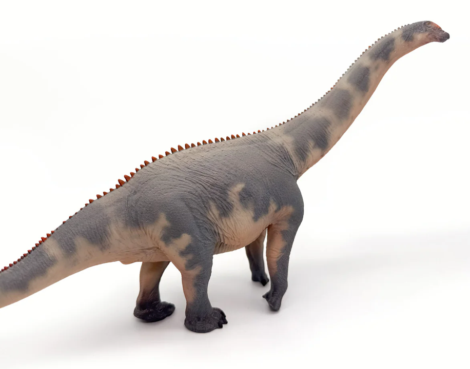 Brontosaurus Model