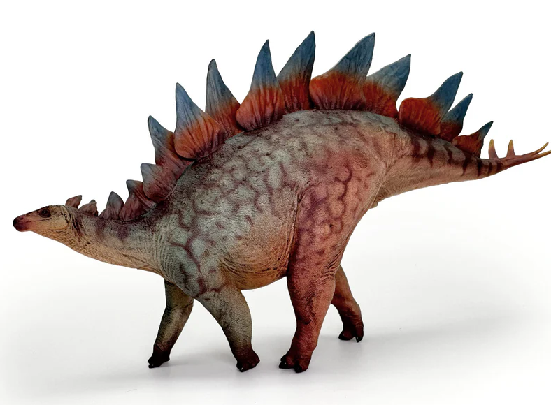 Stegosaurus Model