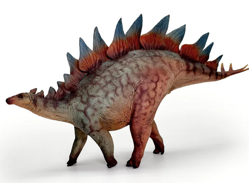 Stegosaurus Model