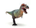 Tyrannosaurus Rex Model