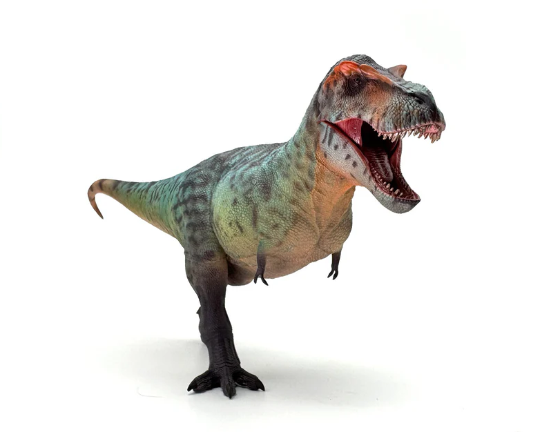 Tyrannosaurus Rex Model