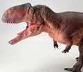 Gigantosaurus Model