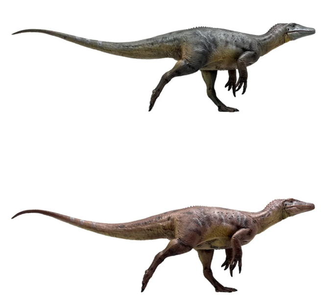 Megaraptor