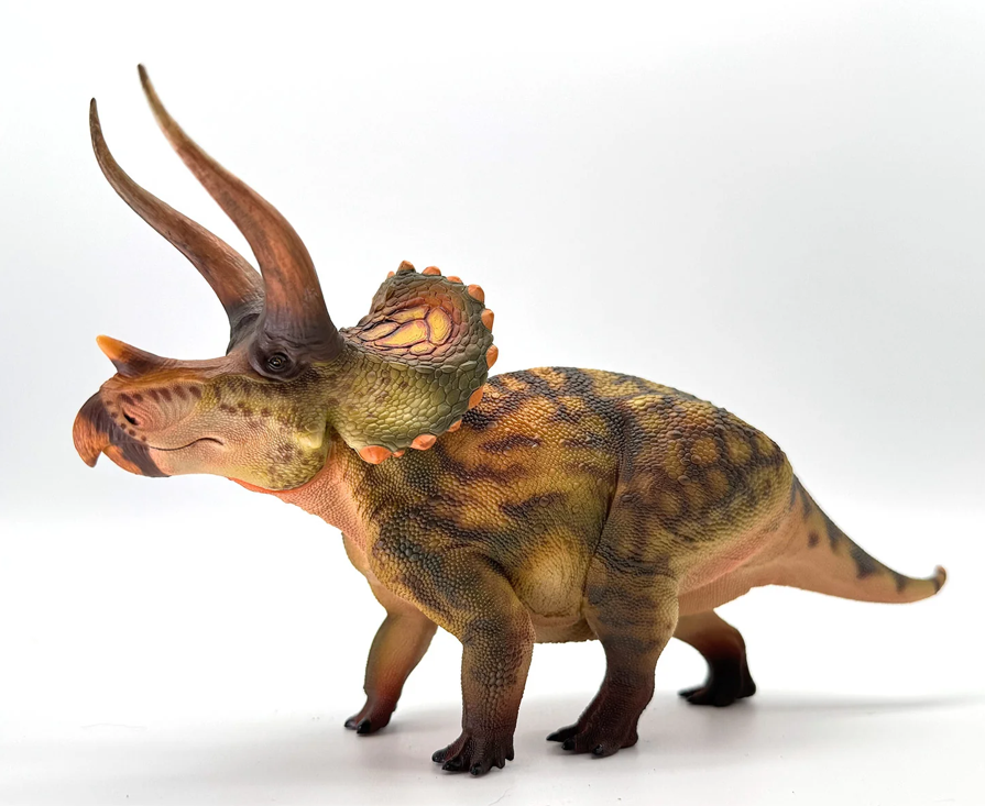 Triceratops Model