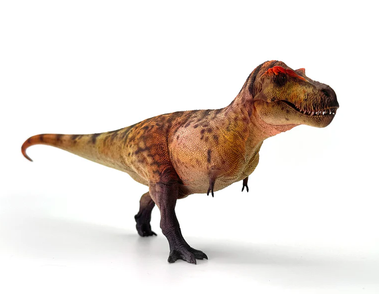 Tyrannosaurus Rex Model