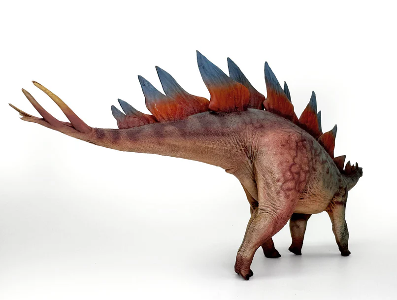 Stegosaurus Model