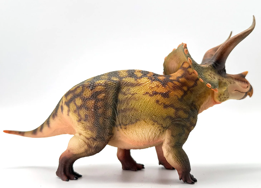 Triceratops Model