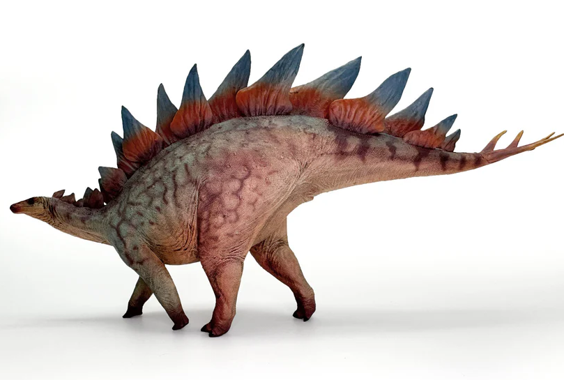 Stegosaurus Model