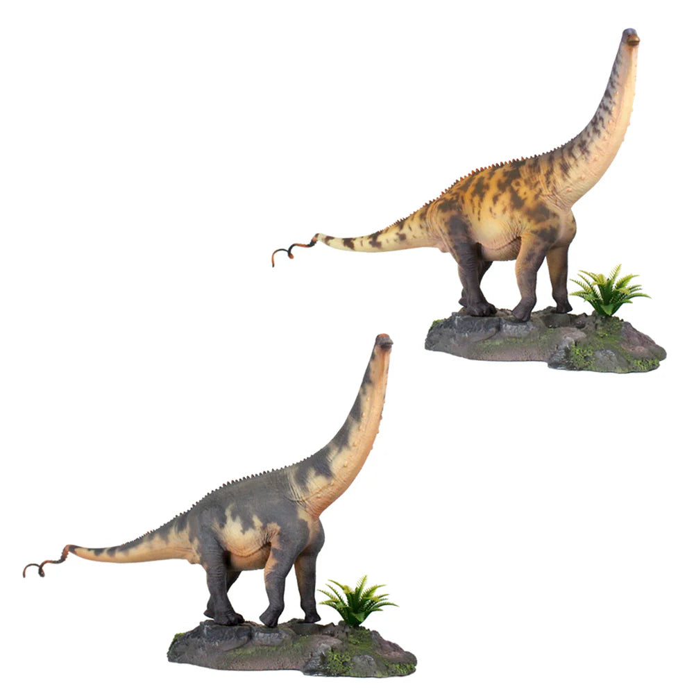 Brontosaurus Model