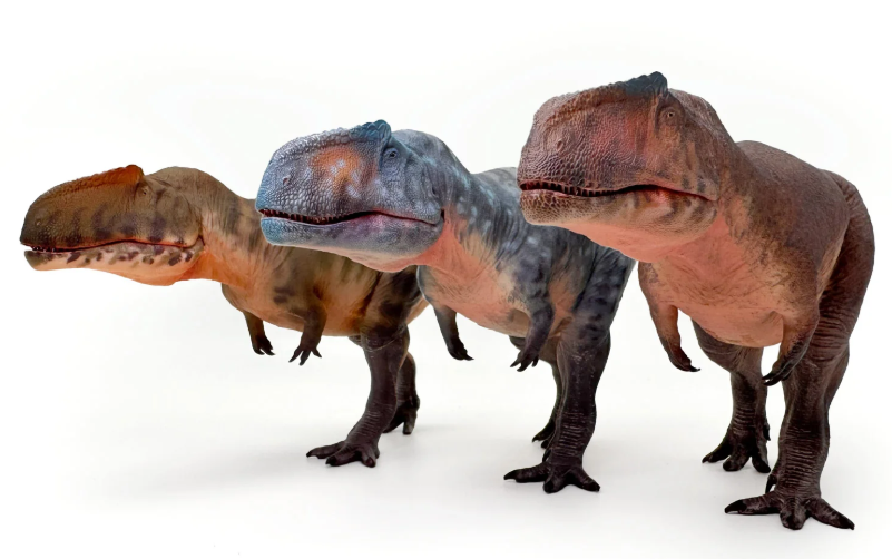 Gigantosaurus Model