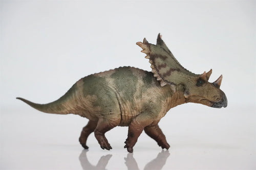 Chasmosaurus Model