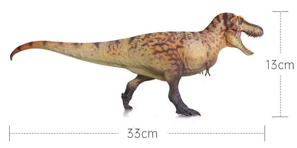 Tyrannosaurus Rex Model