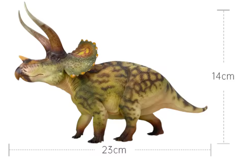 Triceratops Model
